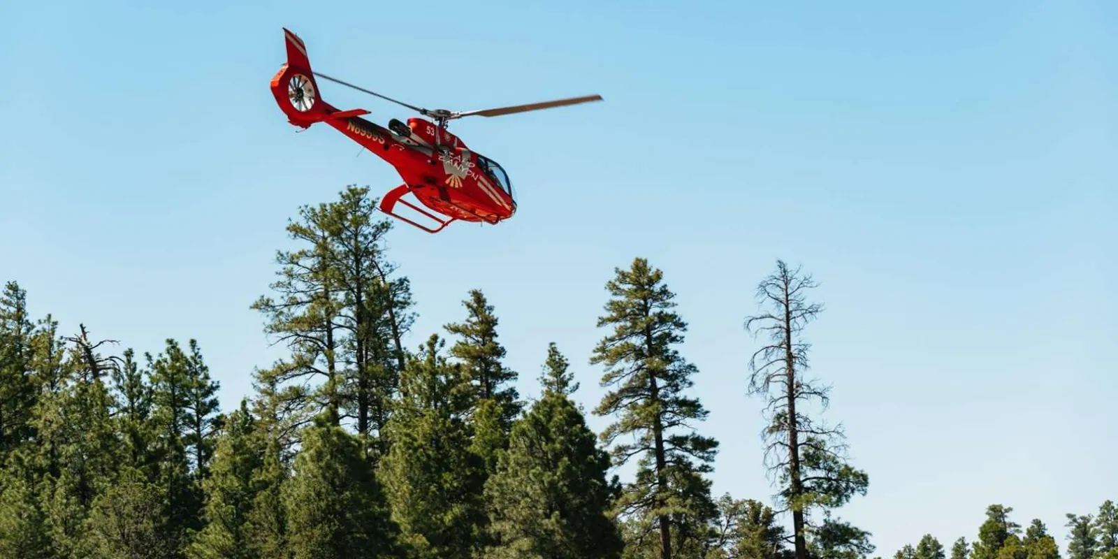 Red Papillon helicopter lifting away above the ponderosa pines near Grand Canyon Village