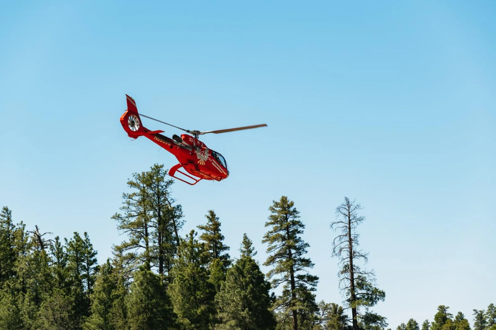 Grand Canyon Village: Helicopter Tour & Hummer Tour Options